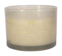 Nicola Spring Scented Candle - 350G - Green Pomelo & Passion Fruit Double Wick Glass Jar Sweet Fruity Scent Long Burn Fragrance