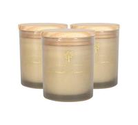 Nicola Spring Scented Candles - 130G - Green Pomelo & Passion Fruit - Pack Of 3 Fruity Fresh Scent Jarred Long Burn Fragrance Set