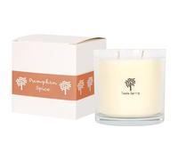 Nicola Spring Soy Wax Scented Candle 400g - Pumpkin Spice Fragrance - Double Wick 45 Hour Burn Eco-Friendly Large Jar Candle for Relaxation, Aromatherapy, Home Décor & Luxury Gifting