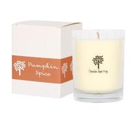 Nicola Spring Soy Wax Scented Candle with Jar - 160g - Pumpkin Spice - 1x Small Single Wick Birthday Christmas Mothers Day Valentine Aromatherapy Gift Gifts | 28 Hour Burn Time