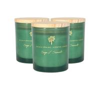 Nicola Spring Soy Wax Scented Candles - 130G - Sage & Seasalt Pack Of 3 Herbal Spa Scent Glass Jars Long Burn Aromatherapy Candle