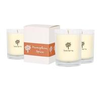 Nicola Spring Soy Wax Scented Candles 160g - Pack of 3 - Pumpkin Spice Fragrance - 28 Hour Burn Time Eco-Friendly Jar Candle for Relaxation, Aromatherapy, Luxury Gifting & Home Décor