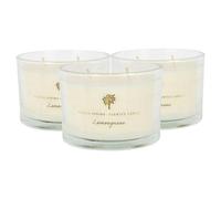 Nicola Spring Soy Wax Scented Candles - 350G - Lemongrass - Pack Of 3