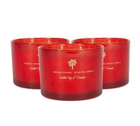 Nicola Spring Soy Wax Scented Candles - 350G - Wild Fig & Cassis - Pack Of 3 - Double Wick Autumn Scent Jars - Long Burn Seasonal