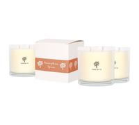 Nicola Spring Soy Wax Scented Candles 400g - Pack of 3 - Pumpkin Spice Fragrance - Double Wick 45 Hour Burn Eco-Friendly Large Jar Candles for Relaxation, Aromatherapy, Home Décor & Gifting