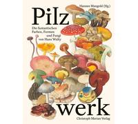 Nicolas Küffer Ishita Pilzwerk: Die fantastischen Farben, Forme (Hardback)