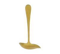 Nicolas Vahé Daily sauce ladle 17 cm Gold finish