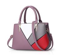 NICOLE & DORIS Handbags for Ladies Womens Handbag Splicing Color Crossbody Bags The Latest Trends Purple