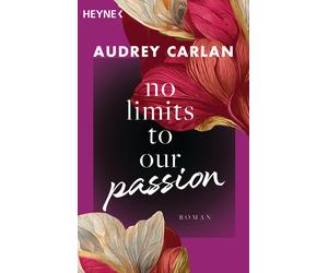 Nicole Hölsken No Limits To Our Passion: Roman (Die Soul-Sisters-R (Paperback)