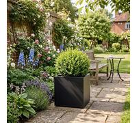 Nicoman Black Metal Planter Cube Planter 50X50X50Cm Galvanised Metal