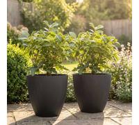 Nicoman Madison Smooth Black Tall Planter Non-Shed Non-Crack Rubber Tall Planter | Size: 1 Pack Nicoman Black 1 Pack