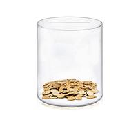 Nideen Clear Money Box, Break to Open Acrylic Money Box Piggy Bank, Smash Money Box for Adults and Kids, 8''× 6.3''