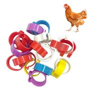 NIDHFG 20 Plastic Chicken Foot Rings, Creative Snap-On Type, Color Recognition Foot Ring, Personalized Ring Marking, Suitable For A Variety Of Poultry.