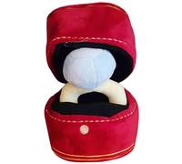 NIDONE 1Set Dog Squeaky Toys with Ring & Box Funny Chew Dog Engagement Toys 7.1x4.7x3.9 Inch Dog Birthday Toy Reusable Ring Dog Toy Pet Supplies Pet Lovers Gift,Dog Birthday Toy