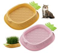 NIDONE 2Pcs Cat Grass for Indoor Cats, Soilless Hydroponic Cat Grass Seeds Growing Box Layered Self Planting Catnip Seeds Box