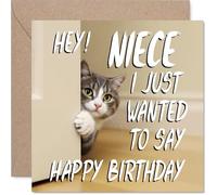 Niece Birthday Card - Cute Cat Peekaboo - Happy Birthday Card for Niece from Auntie Uncle, 145mm Lovable Kitty Bday Greeting Cards
