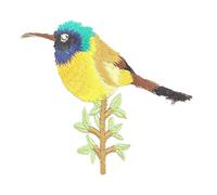 Niedlichen Vogel Muster Stickerei Patches zum Aufbügeln Applique für Kleidung Kleider Packung mit 1 stilvoll und beliebtLanglebig und leicht.