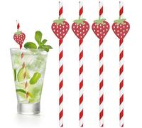 NIEITRK 20 Pcs Red Strawberry Striped Paper Straws,Disposable Fruit Straws for Drinks Striped Cocktail Straw for Milkshake Colorful Paper Straw for Lemonade Stand Supplies Beach Party Decorations