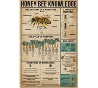 Niekea Vintage Metal Tin Sign Honey Be Knowledge The Anatomy Of A Honey Bee Poster, Vintage Poster Tin plaque 12x8 Inch