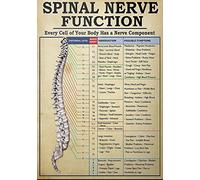 Niekea Vintage Metal Tin Sign Spinal Nerve Function Poster, Vintage Poster, Spinal Nerve Function Chart, Root Chart, Chiropractic Tin plaque 12x8 Inch
