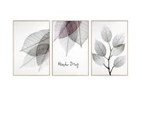 nielsen Set of 3 Framed Botanical Wall Art Prints by Deborah Pearce in Natural Nielsen Natural