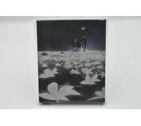 NieR Orchestra Concert 12018 JAPAN Blu-ray SQEX-20061