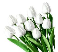 Nievajio 10PCS White Tulips Artificial Flowers, PU Real Touch Fake Tulips, Faux Flower Bouquets for Home Garden Wedding Party Flower Decor