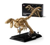 Nifeliz Velociraptor Fossil Model Set, Dinosaur Skeleton Building Set with Display Base for Adults, Collectible Gift for Dinosaur Enthusiasts (498 PCS, NF10357)