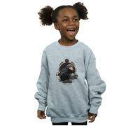 Nifflers Sweatshirt FANTASTIC BEASTS Grey 5-6 Years