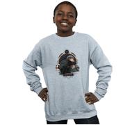 Nifflers Sweatshirt FANTASTIC BEASTS Grey 7-8 Years