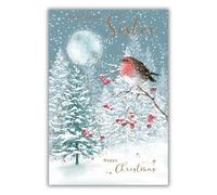 Nigel Quiney Christmas Card for Sister - Robin On Snowy Branch Design - Festive Christmas Greeting Card to a Special Sister