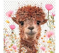 Nigel Quiney Female Blank Greeting Card - Artistic Alpaca & Flowers Design - Premium Cute Birthday or All Purpose Greeting Card with Envelope for Her - the Art of Nature Range
