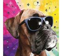 Nigel Quiney Funny Dog Birthday Card for Her/Him - Boxer Dog in Sunglasses - All Recipient - Amusing Birthday Greeting Card with Envelope