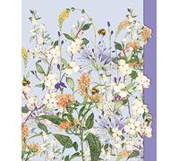 Nigel Quiney General Female Birthday Card for Women/Girls - Orange Buddleia & Bees with Pale Blue Foil & Die Cut Edge Detail - Eco-Friendly & Recyclable - Made in Britain