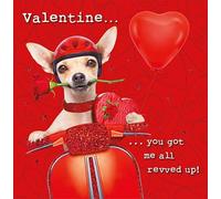 Nigel Quiney Valentines Day Card General Dog On Vespa