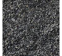 NIGER NYGER SEED 5kg High Energy High Protein Premium Quality All Year Round Wild Garden Bird Seed