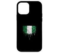 Nigeria Flag Case for iPhone 12 mini