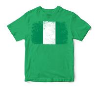 Nigeria Grunge Flag T Shirt, Nigeria Football Supporters, Nigeria Fans Gift idea for Kids, Nigeria Country Flag Top, Football Tee, 12-13 Years, Irish Green