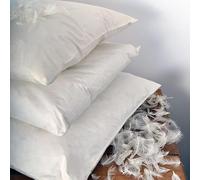 Night Comfort Goose Feather and Down Cushion Pad 60 x 60 cm (24” x 24”) Inner Insert Filler with 100% Microfibre 230TC Down Proof Cover Anti Allergy, Anti Dustmite & Machine Washable