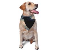 Night Crow Dog Bandana Pet Scarf Accessories for Small Medium Dogs Cats Photo Prop, Triangle Pet Bandanas Adjustable Puppy Bib Washable Dog Kerchief Puppy Neckerchief