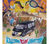 Electric Fly Swatter - Night Flyer [VINYL]