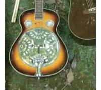 Night Jungle - Jungle Cruise