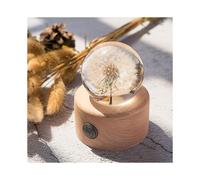 (Night Light) Dandelion Flower Crystal Glass Resin Lens Ball With Bracket Mother Gift Christmas Gift For Guests, Girlfriends And Children
