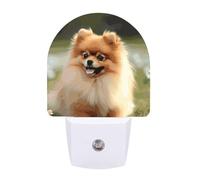 Night Light Plug Into Wall Pomeranian Dog Nightlight with Auto Dusk to Dawn Sensor LED Night Lamp 0.5W Plug-in Light for Bedroom, Bathroom, Hallway, Stairway