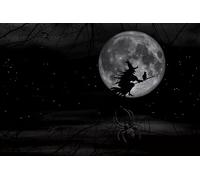 Night Moon Witch-7000-Piece Adult Puzzle Brain Teaser Game Relaxing Puzzle Puzzle 14 years+