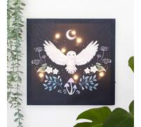 Night Owl Light Up Canvas Plaque KDMD Chocolate One Size