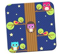 Night Owls with Sleeping Robins Coaster/Pack of Coasters