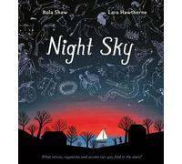 Night Sky: Be the next Brian Cox this Christmas and discover the extraordinary mysteries of the night sky in this captivating STEAM book!