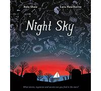 Night Sky: Be the next Brian Cox this Christmas and discover the extraordinary mysteries of the night sky in this captivating STEAM book!