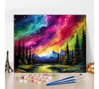 Night Sky Paint by Numbers, Aurora Borealis Paint by Number, Colors and Light Dancing Across The Horizon Paint by Number Kits on Canvas for Home Wall Decoration, 16"x20" (Frameless)